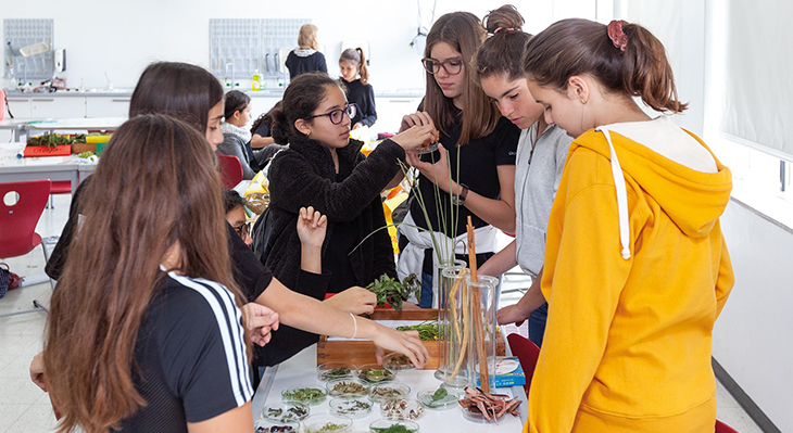 Schülerinnen an einer deutschen Auslandsschule beim gemeinsamen Experimentieren im Rahmen der Berufsorientierung im Bereich Biologie
