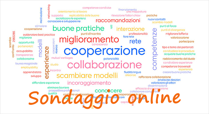 Ora online: Sondaggio sulle esperienze di cooperazione nella formazione professionale tra Germania e Italia