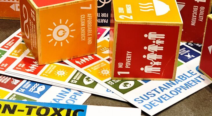 SDG cubes as elements of the VET Chain
